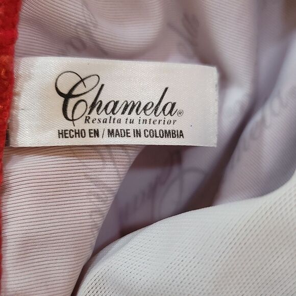 BRAND NEW CHAMELA ONE-PIECE V-NECK SWIMSUITS - Picture 12 of 14